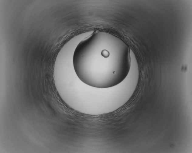 X0000110700916200907021954