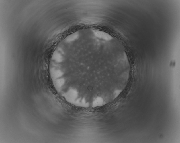 X0000110700917200907021954