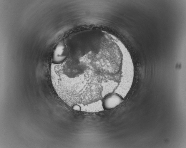 X0000110700918200907021954