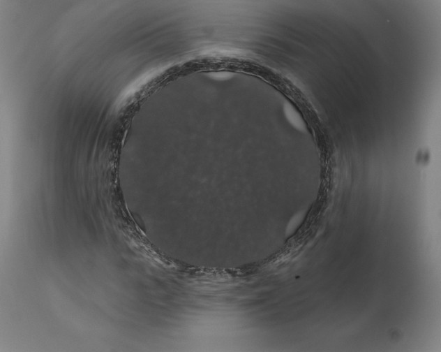 X0000110700919200907021954