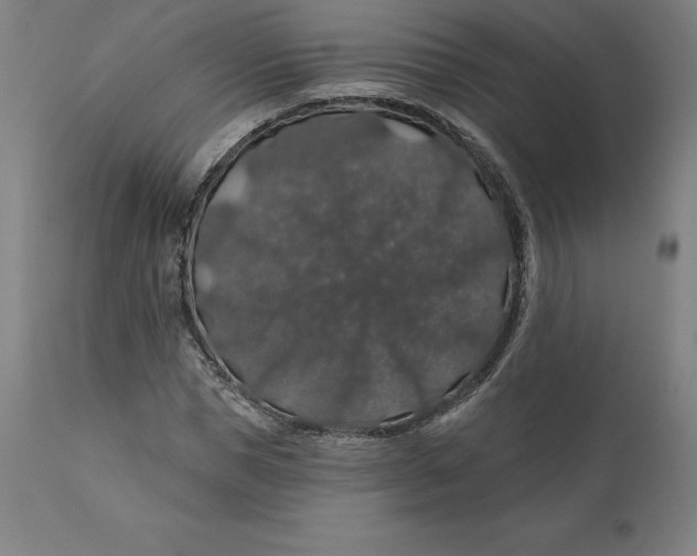 X0000110700921200907021954