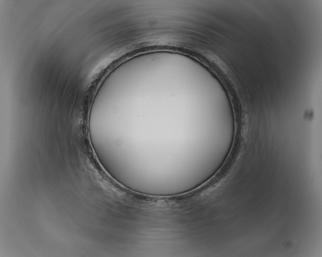 X0000110700922200907021954