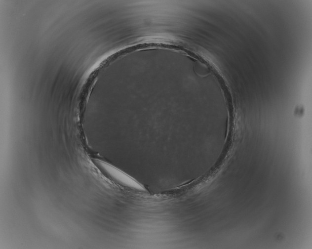 X0000110700923200907021954