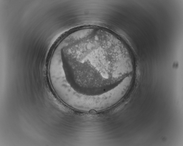 X0000110700924200907021954