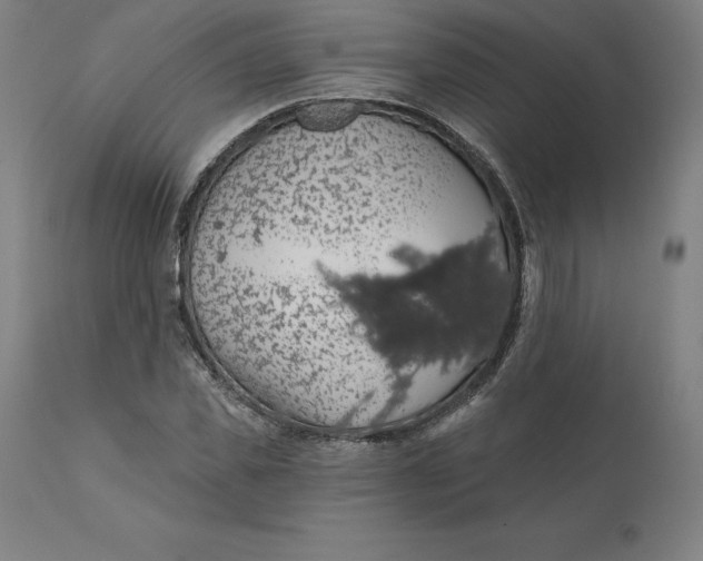 X0000110700925200907021954