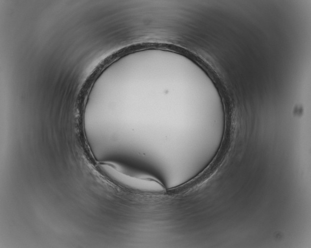 X0000110700926200907021954