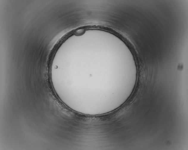 X0000110700927200907021954