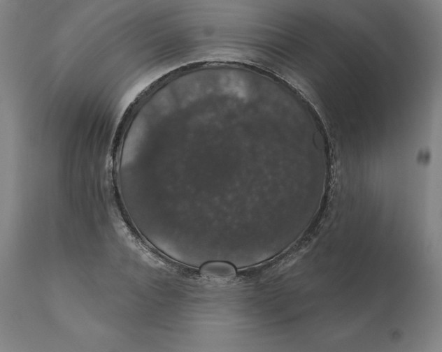 X0000110700928200907021954