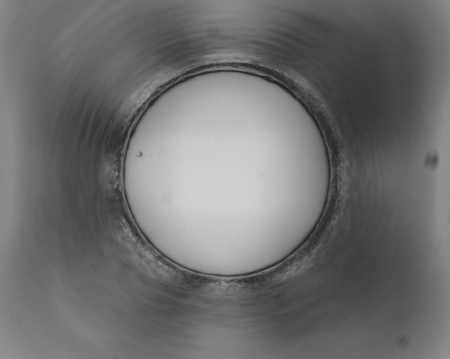 X0000110700929200907021954