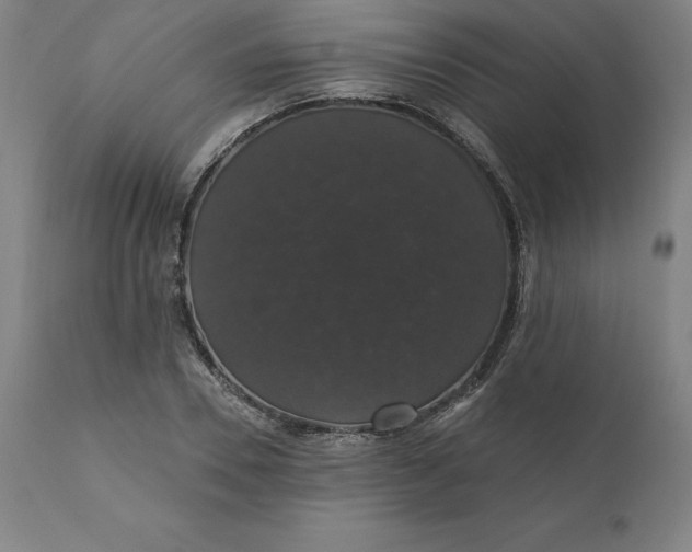 X0000110700930200907021954