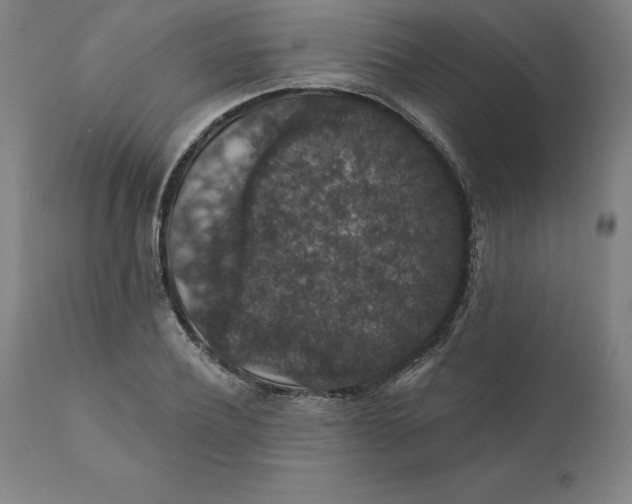 X0000110700932200907021954