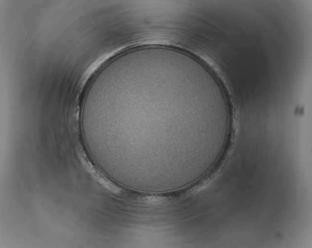 X0000110700933200907021954