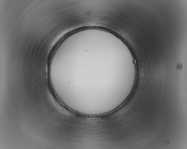 X0000110700934200907021954