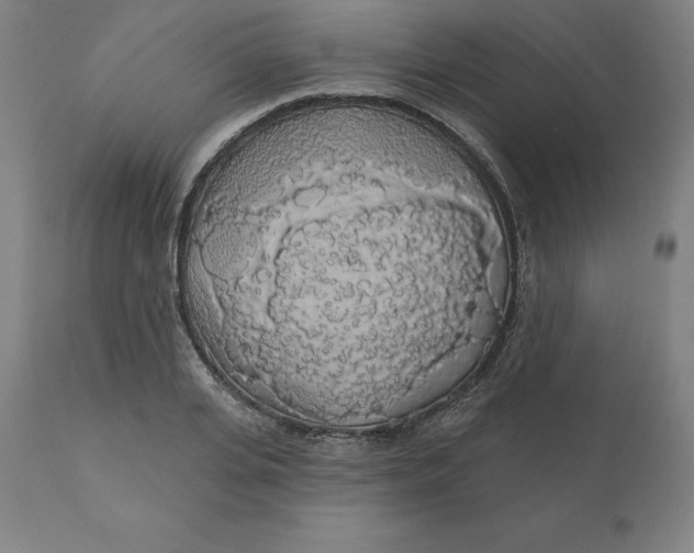 X0000110700935200907021954