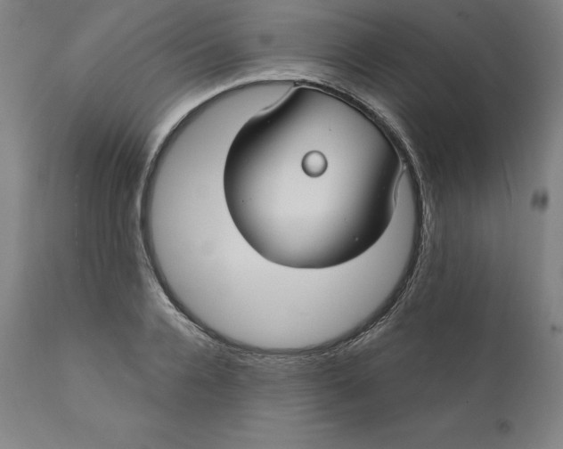 X0000110700936200907021954