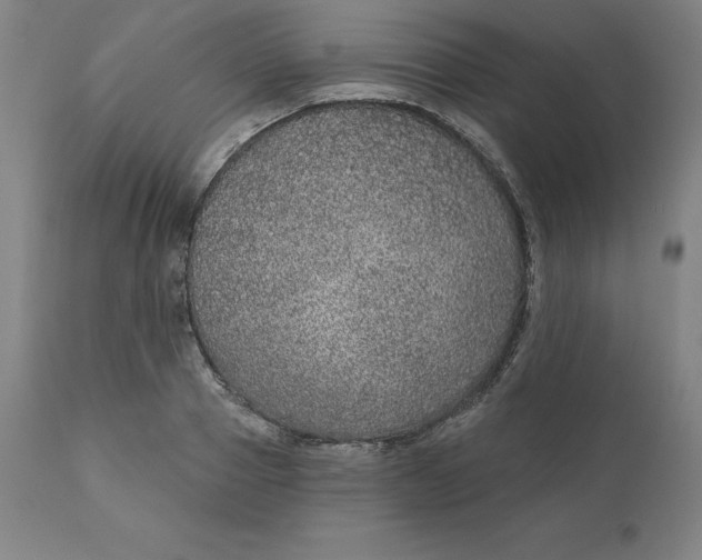 X0000110700937200907021954