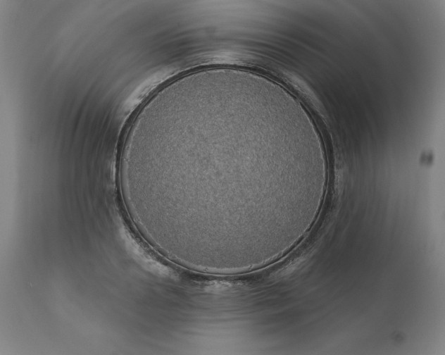 X0000110700938200907021954