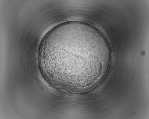 X0000110700939200907021954