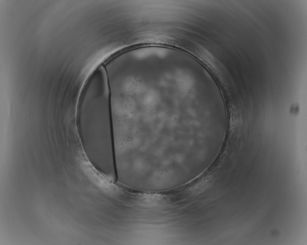 X0000110700940200907021954