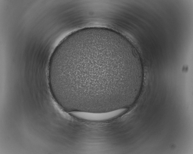 X0000110700942200907021954