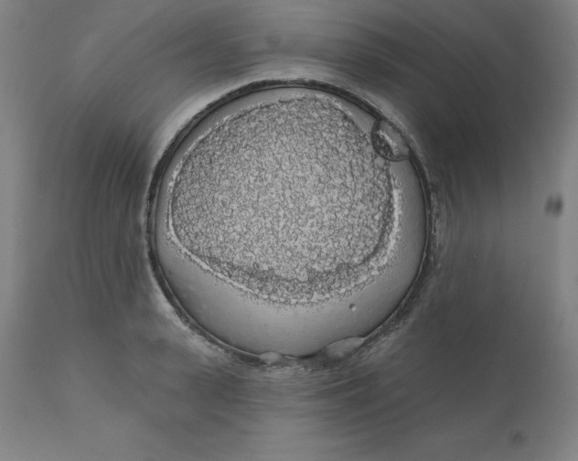 X0000110700943200907021954