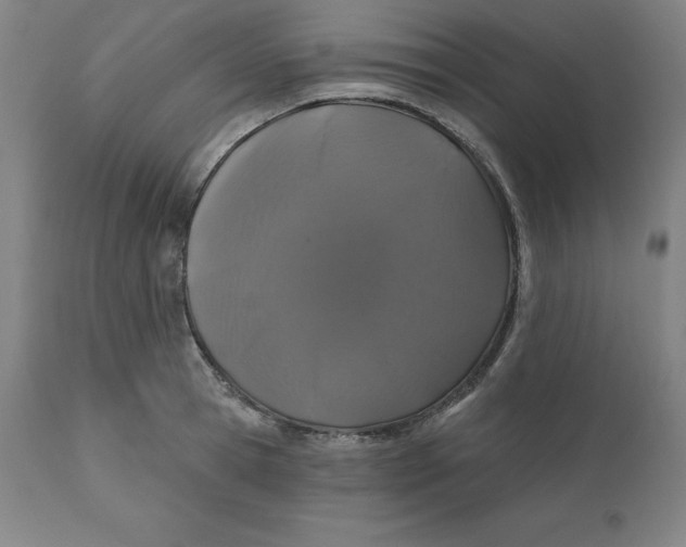 X0000110700945200907021954