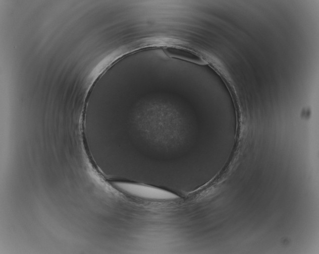 X0000110700946200907021954