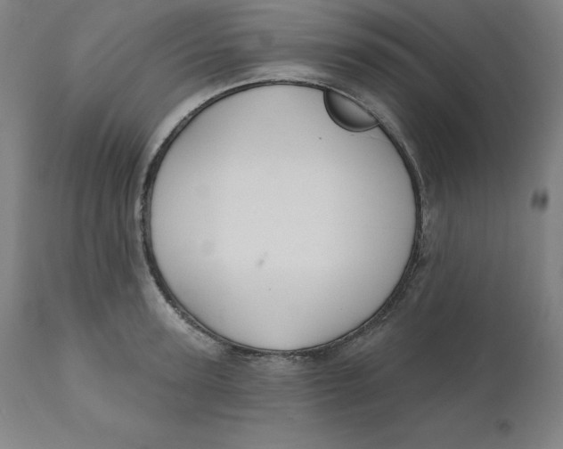 X0000110700947200907021954