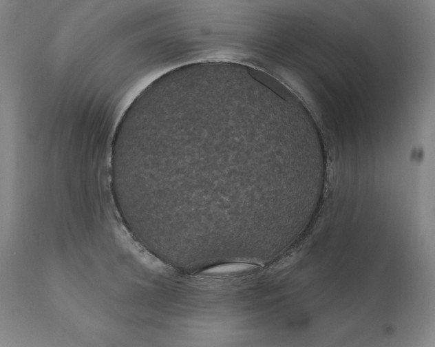 X0000110700948200907021954