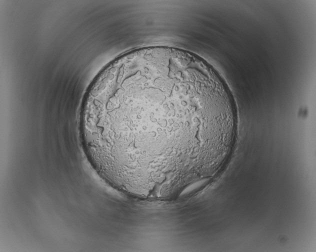 X0000110700949200907021954