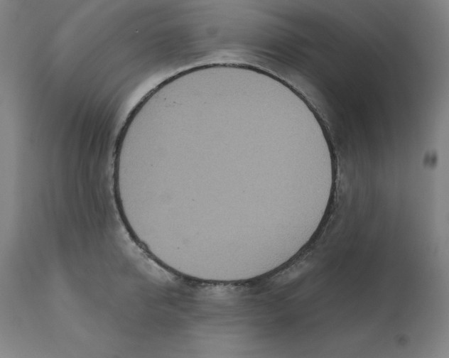 X0000110700950200907021954