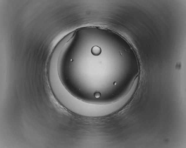 X0000110700952200907021954