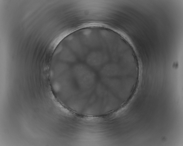 X0000110700953200907021954