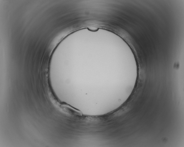 X0000110700954200907021954