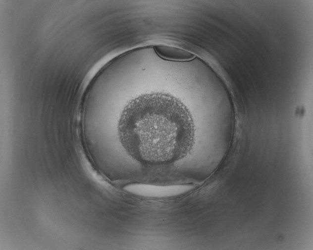 X0000110700955200907021954