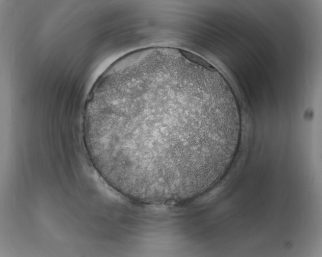 X0000110700956200907021954