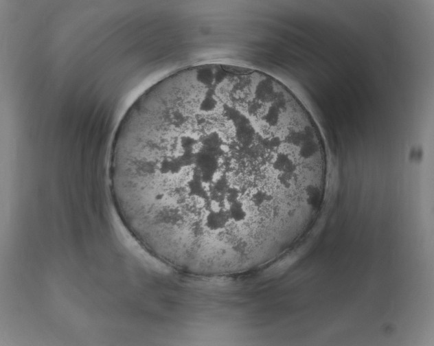 X0000110700957200907021954