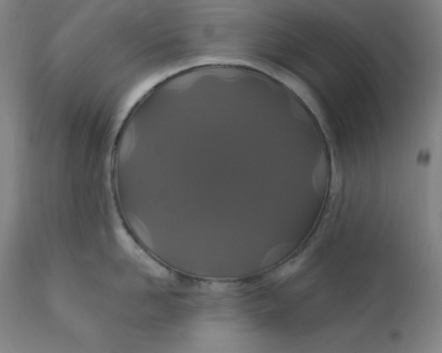 X0000110700958200907021954