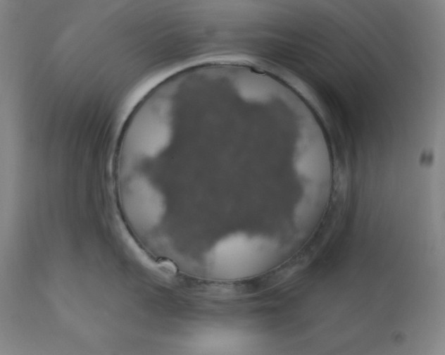 X0000110700959200907021954