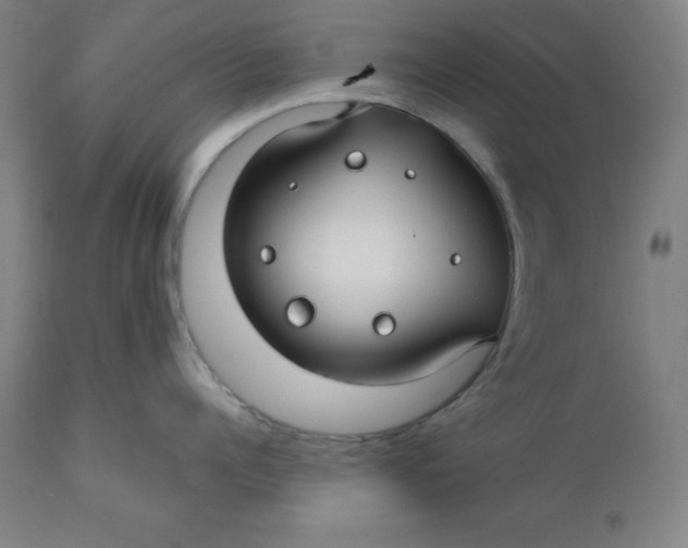 X0000110700960200907021954