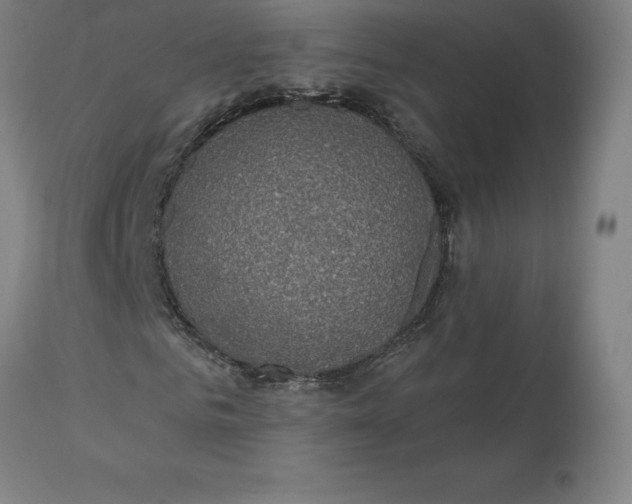 X0000110700961200907021954