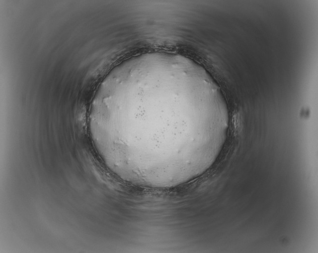 X0000110700963200907021954