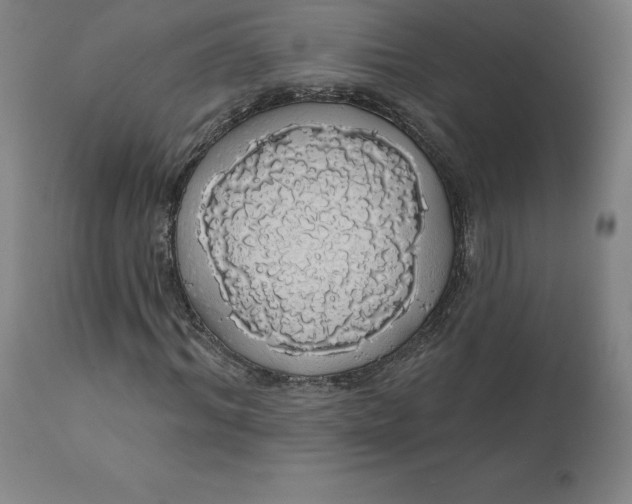 X0000110700964200907021954