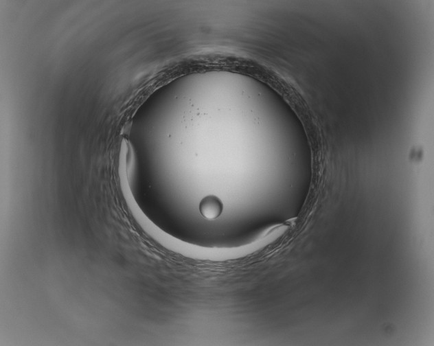 X0000110700965200907021953