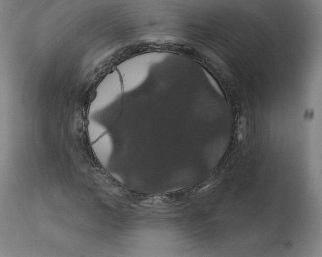 X0000110700966200907021953