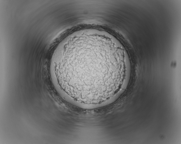 X0000110700968200907021953