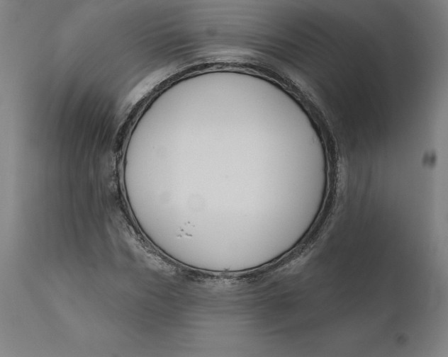 X0000110700970200907021953