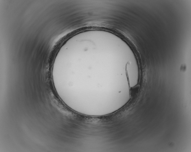 X0000110700971200907021953