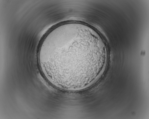 X0000110700972200907021953