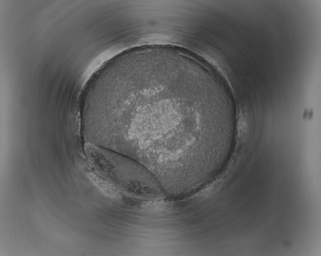 X0000110700973200907021953